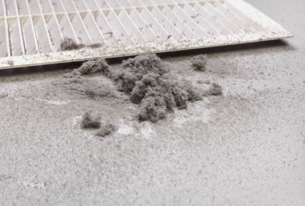 Best Air Vent Cleaning Services  in Meridian Hills, IN