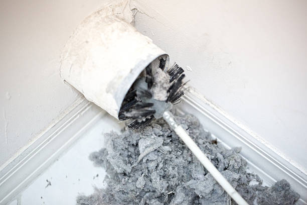 Best Affordable HVAC Duct Cleaning  in Meridian Hills, IN